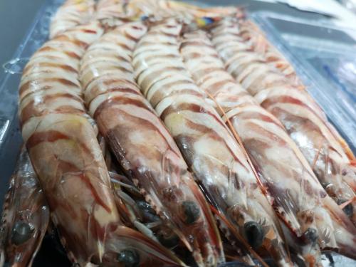 jbanded shrimp