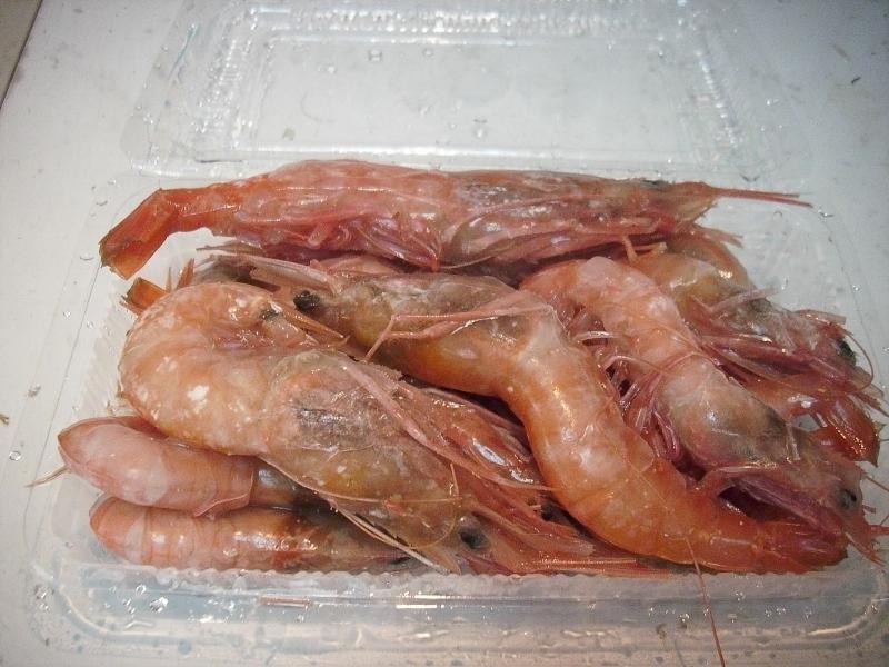 Y(jY)red head shrimp